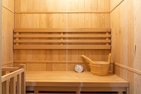 Domowa Mała Drewniana Tradycyjna Sauna Parowa dla 2 Osób Z Kuchenką Elektryczną 3KW